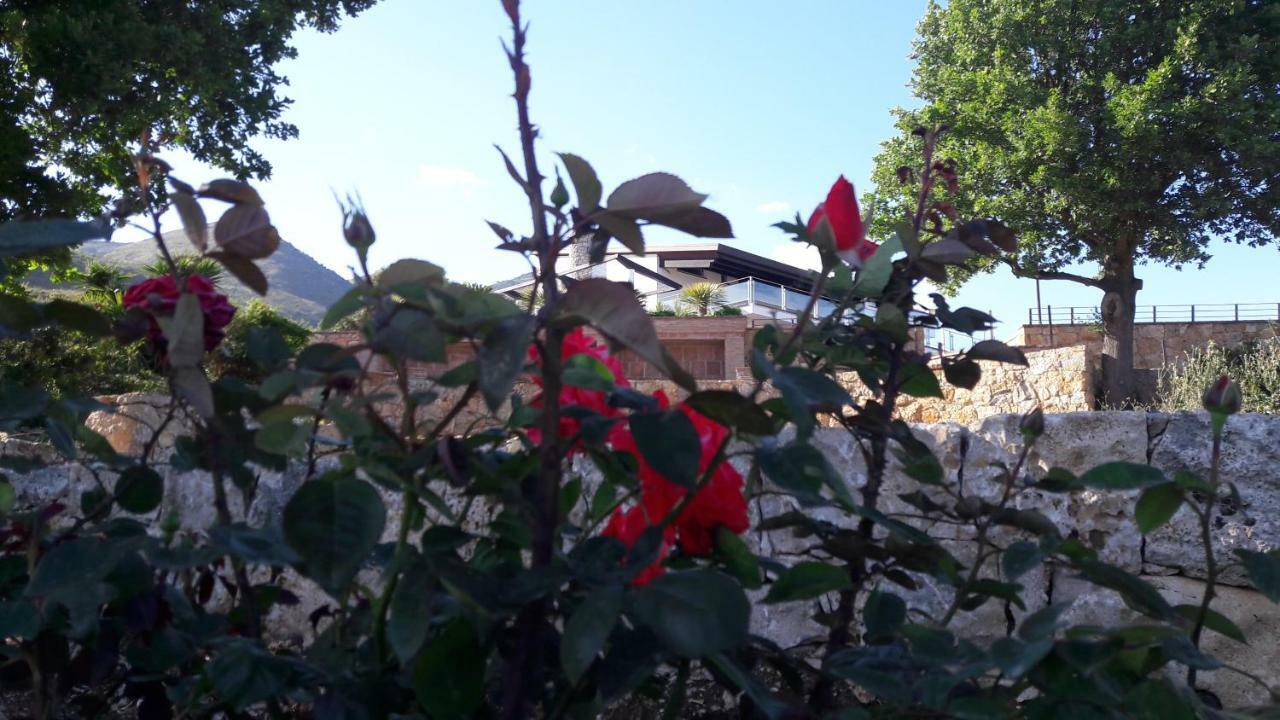 Villa Treglia B&B Formia Exterior photo